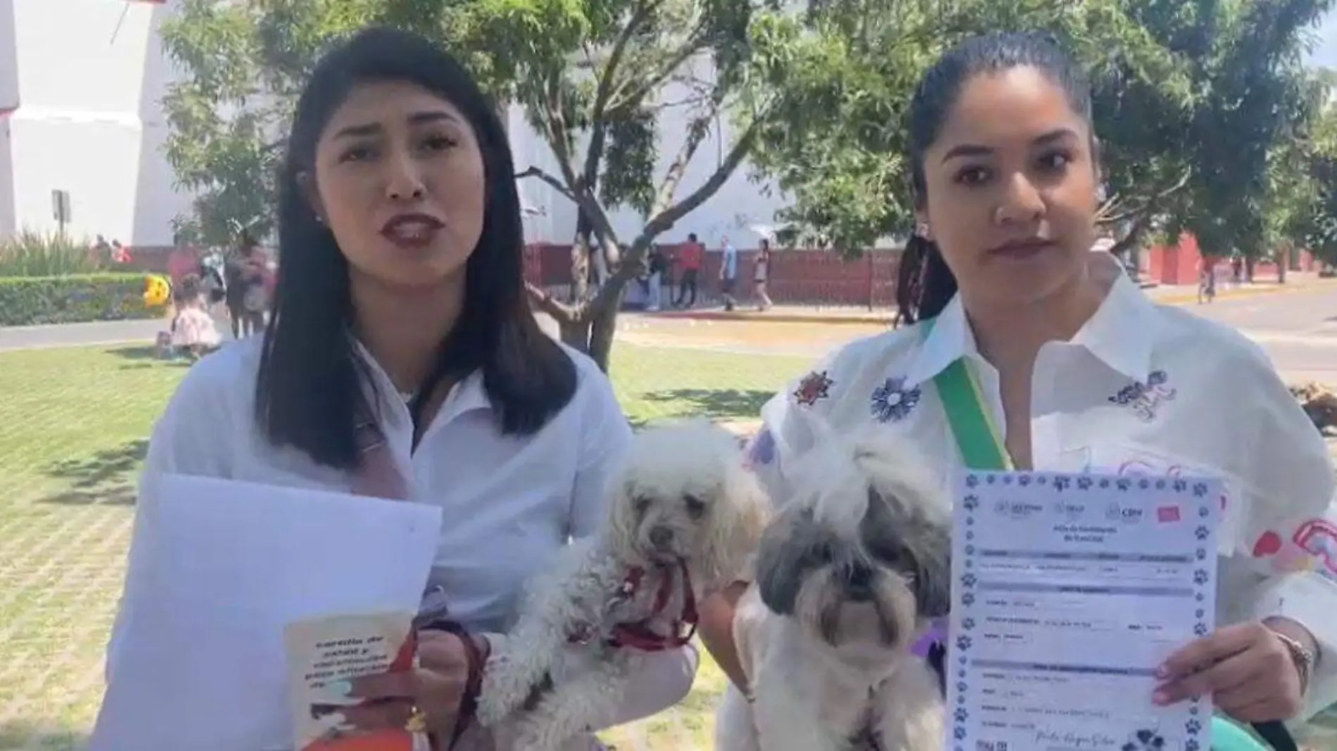 Dueños certifican a sus mascotas en Cholul